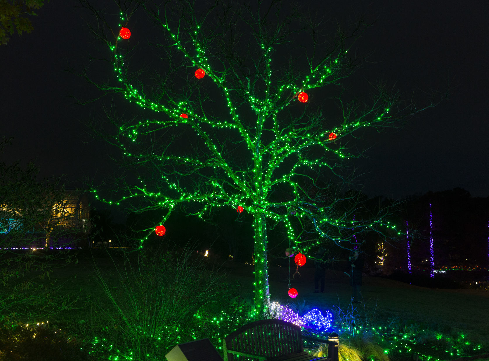 GardenFest of Lights